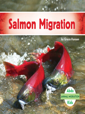 cover image of Salmon Migration